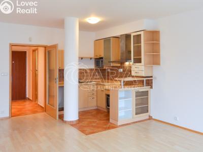 Pronájem bytu 1+KK Praha, Nad šestikopy č. 6