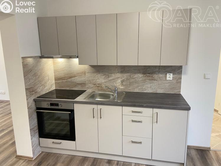 Оренда квартири 3+1 Ivanovice na Hané č. 1