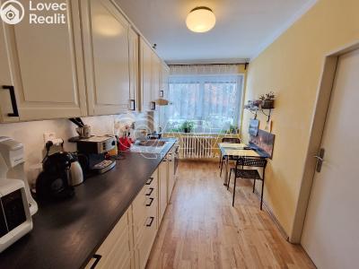 Продажа квартиры 3+1 Velké Přílepy, U Rybníčku 235 č. 3