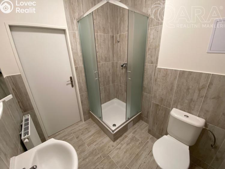 Оренда квартири 1+KK Ivanovice na Hané č. 3