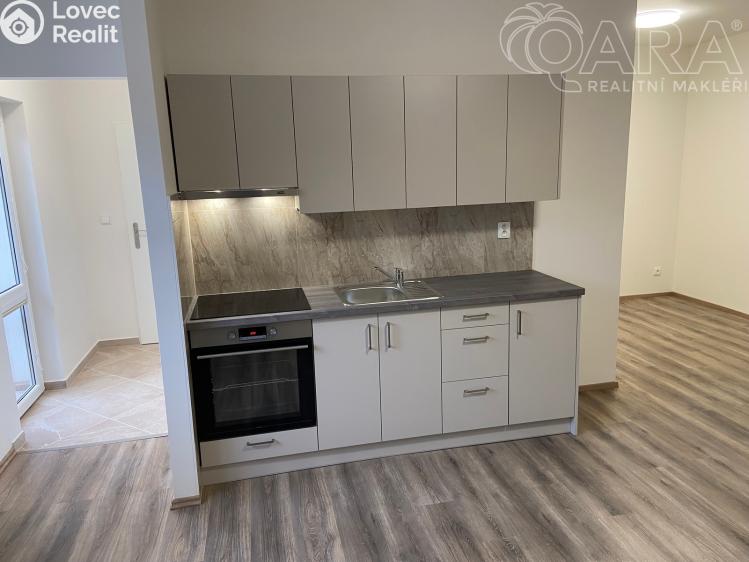 Оренда квартири 1+KK Ivanovice na Hané č. 5