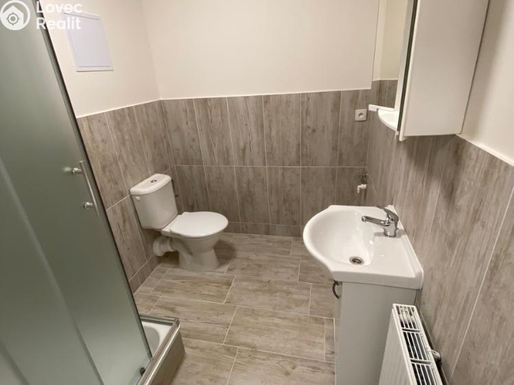 Оренда квартири 1+KK Ivanovice na Hané č. 3
