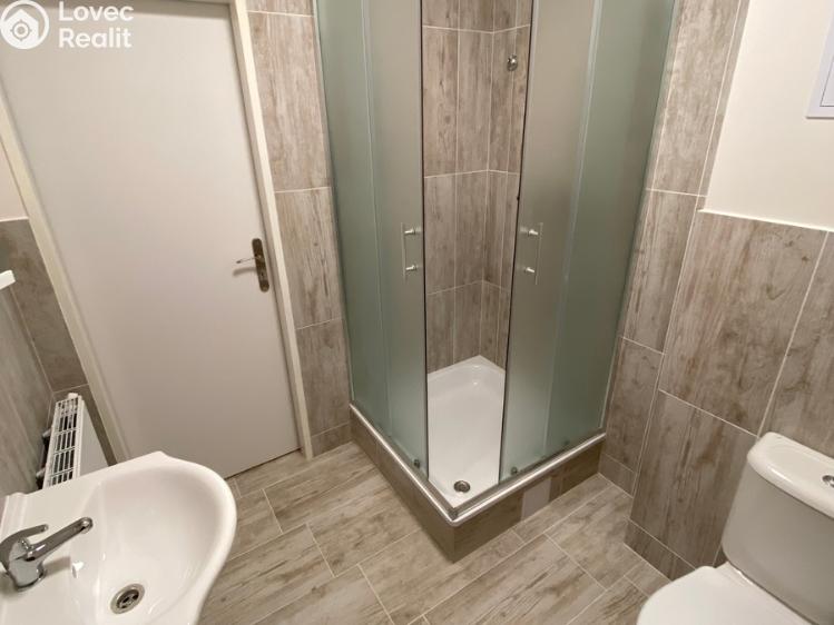 Оренда квартири 1+KK Ivanovice na Hané č. 4