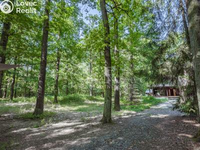 Продаж сімейного будинку Hradištko, Kersko 847 č. 27