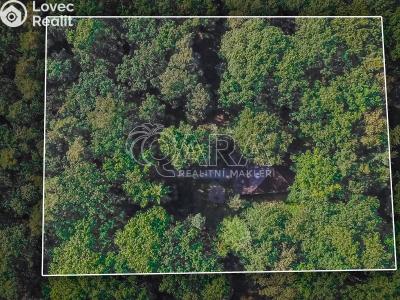 Продаж сімейного будинку Hradištko, Kersko 847 č. 29
