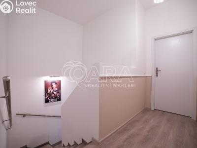 Pronájem rodinného domu Stehelčeves, V. Poláka 400 č. 12