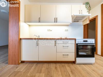 Rent apartment 3+1 Slatiňany, Tyršova 702 č. 3