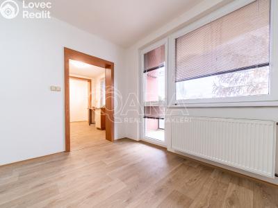 Rent apartment 3+1 Slatiňany, Tyršova 702 č. 6