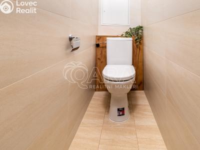 Rent apartment 3+1 Slatiňany, Tyršova 702 č. 13