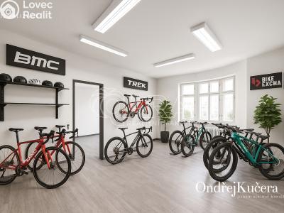 Prodej činžovního domu Trutnov, Krakonošovo náměstí 123 č. 20