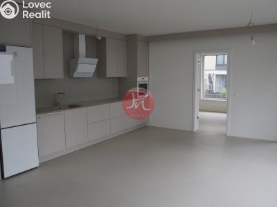Rent commercial space Ostrava, F. X. Riepla č. 1