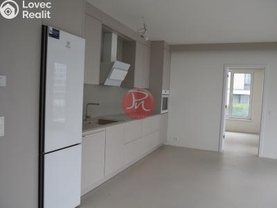 Rent commercial space Ostrava, F. X. Riepla č. 2