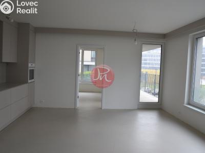 Rent commercial space Ostrava, F. X. Riepla č. 3