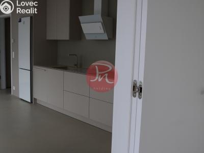 Rent commercial space Ostrava, F. X. Riepla č. 4