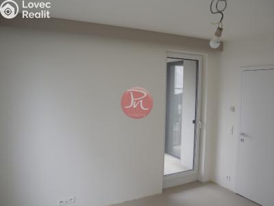 Rent commercial space Ostrava, F. X. Riepla č. 7