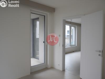 Rent commercial space Ostrava, F. X. Riepla č. 8