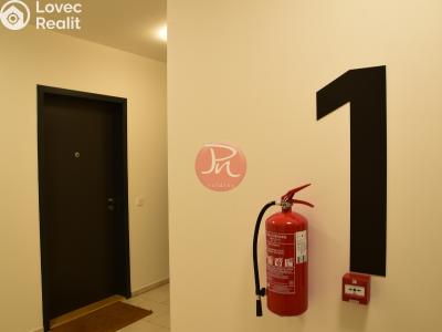 Rent commercial space Ostrava, F. X. Riepla č. 13