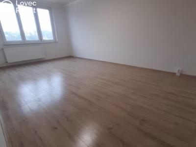 Продажа квартиры 1+1 Loket, Mírová č. 2