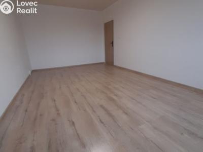 Продажа квартиры 1+1 Loket, Mírová č. 3