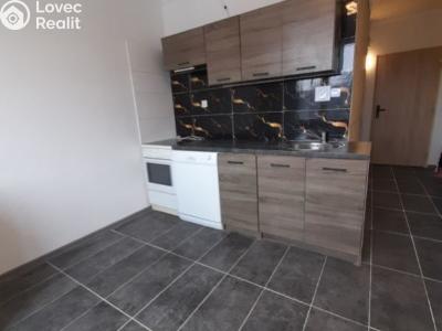 Продажа квартиры 1+1 Loket, Mírová č. 11