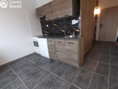Продажа квартиры 1+1 Loket, Mírová č. 13