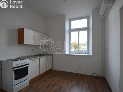 Pronájem bytu 1+1 Nová Bystřice, Vídeňská 383 č. 4