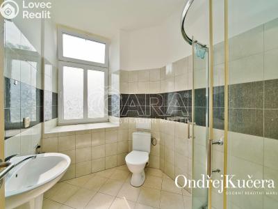 Pronájem bytu 2+1 Nová Bystřice, Vídeňská 383 č. 9