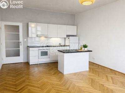 Rent apartment 2+KK Praha, Na slupi č. 5