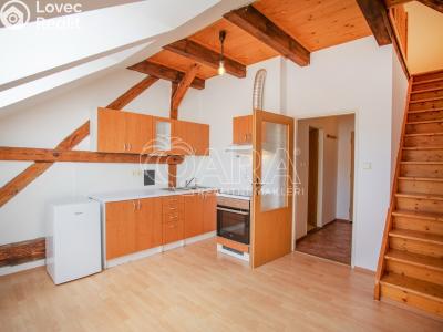 Prodej bytu 2+KK České Budějovice, Puklicova č. 1
