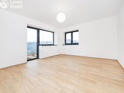 Продажа многогенного дом Chocerady č. 10