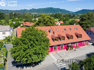 Prodej ubytovacího zařízení Vikýřovice, Petrovská 180 č. 22