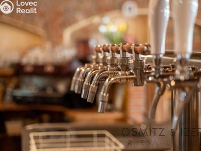 Prodej ubytovacího zařízení Vikýřovice, Petrovská 180 č. 27