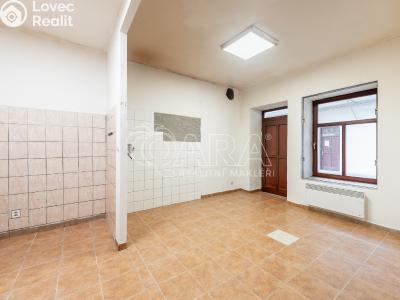 Pronájem obchodního prostoru Praha, Sokolovská č. 12