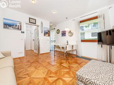 Prodej bytu 1+KK Praha, Matějská č. 13