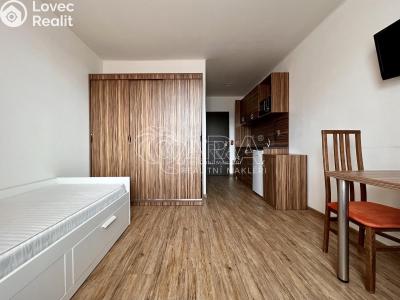 Pronájem bytu 1+KK Brno, Křivánkovo náměstí č. 5