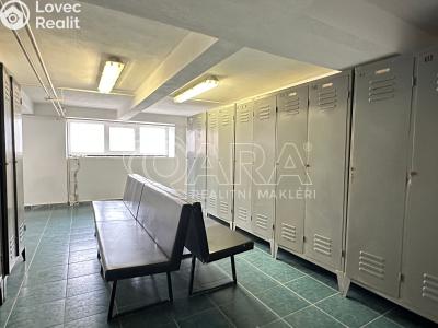 Продаж виробничого цеху Luby č. 24