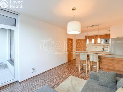 Pronájem bytu 2+KK Praha, Laurinova č. 7