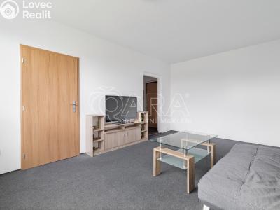 Pronájem bytu 1+1 Ostrava, Arbesova č. 1