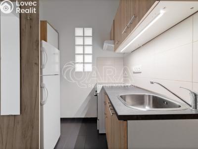 Pronájem bytu 1+1 Ostrava, Arbesova č. 3