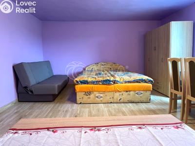 Аренда семейного дома Zubří, Na Kopci 883 č. 4