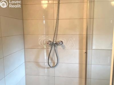 Аренда семейного дома Zubří, Na Kopci 883 č. 10