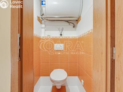 Prodej rodinného domu Průhonice, Školní 42 č. 36