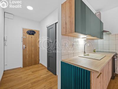 Sale apartment 1+KK Strakonice, Na Ohradě 87 č. 1