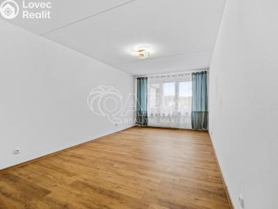 Sale apartment 1+KK Strakonice, Na Ohradě 87 č. 4