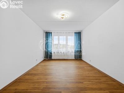 Sale apartment 1+KK Strakonice, Na Ohradě 87 č. 8
