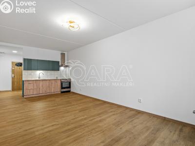 Sale apartment 1+KK Strakonice, Na Ohradě 87 č. 9