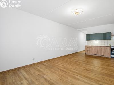 Sale apartment 1+KK Strakonice, Na Ohradě 87 č. 10