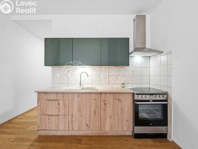 Sale apartment 1+KK Strakonice, Na Ohradě 87 č. 11