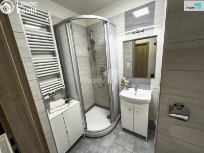 Prodej bytu 3+KK Lošany č. 40