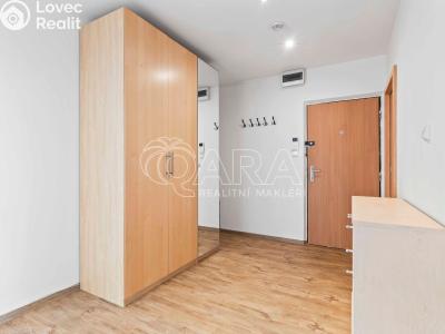Pronájem bytu 2+1 Praha, Špirkova č. 14